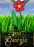 About Georgia
